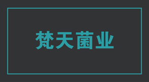 食品行业连云港工作服设计款式